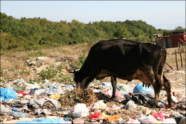 Le recyclage des déchets n'est pas encore une priorité