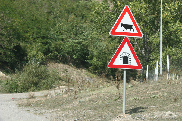 Des vaches, un tunnel, rien de spécial panneau