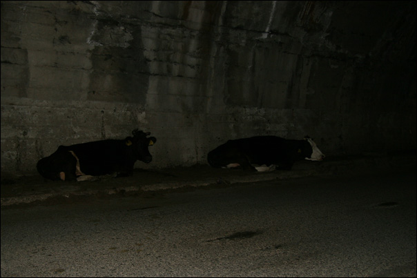 Mais une fois dans le tunnel non éclairé, qu'est-ce que cela